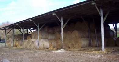 how-much-does-a-pole-barn-cost