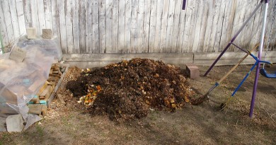 how-much-does-compost-cost