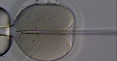 how-much-does-in-vitro-fertilization-ivf-cost
