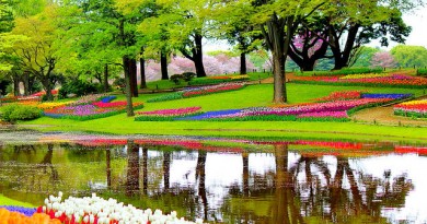 how-much-does-landscaping-cost