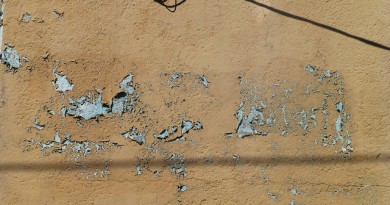 how-much-does-lead-paint-removal-cost