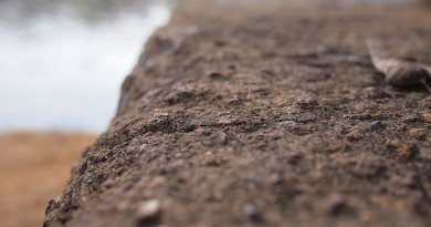 how-much-does-soil-cost